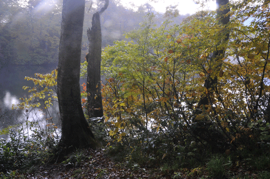 c0093046_19241674.gif