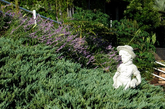 　　和歌山県植物公園緑花センター　_b0093754_23534695.jpg