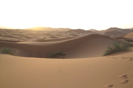b0173754_13463711.jpg