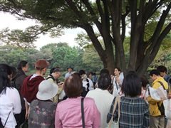 皇居東御苑のパワースポット体験_d0082655_17223950.jpg