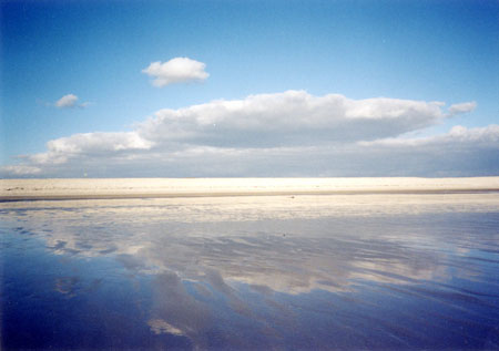 f0009457_8455672.jpg