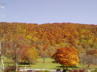 f0130259_2354026.jpg