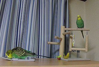 f0196665_0585897.jpg