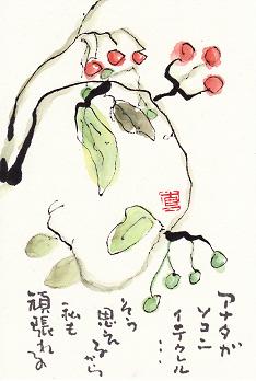 ★流れ星☆見えるかな★_e0136066_23293339.jpg