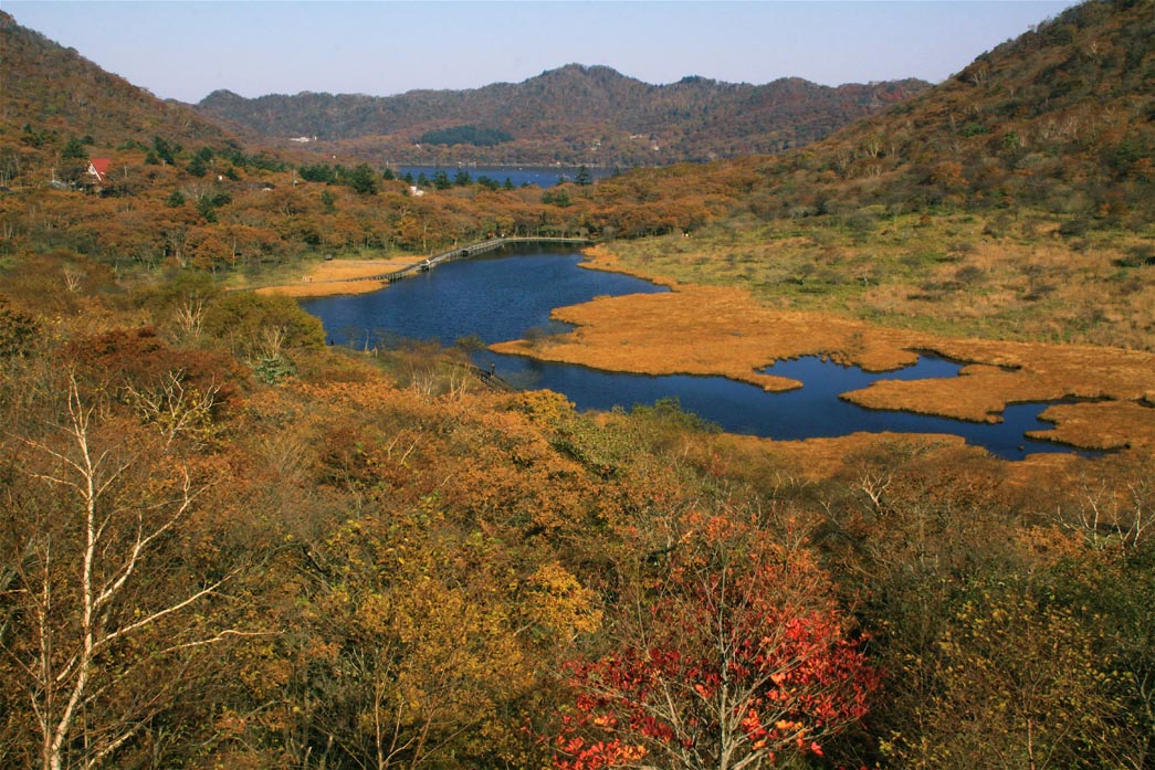 赤城山の秋・・・鳥居峠・小沼_e0071967_21272324.jpg