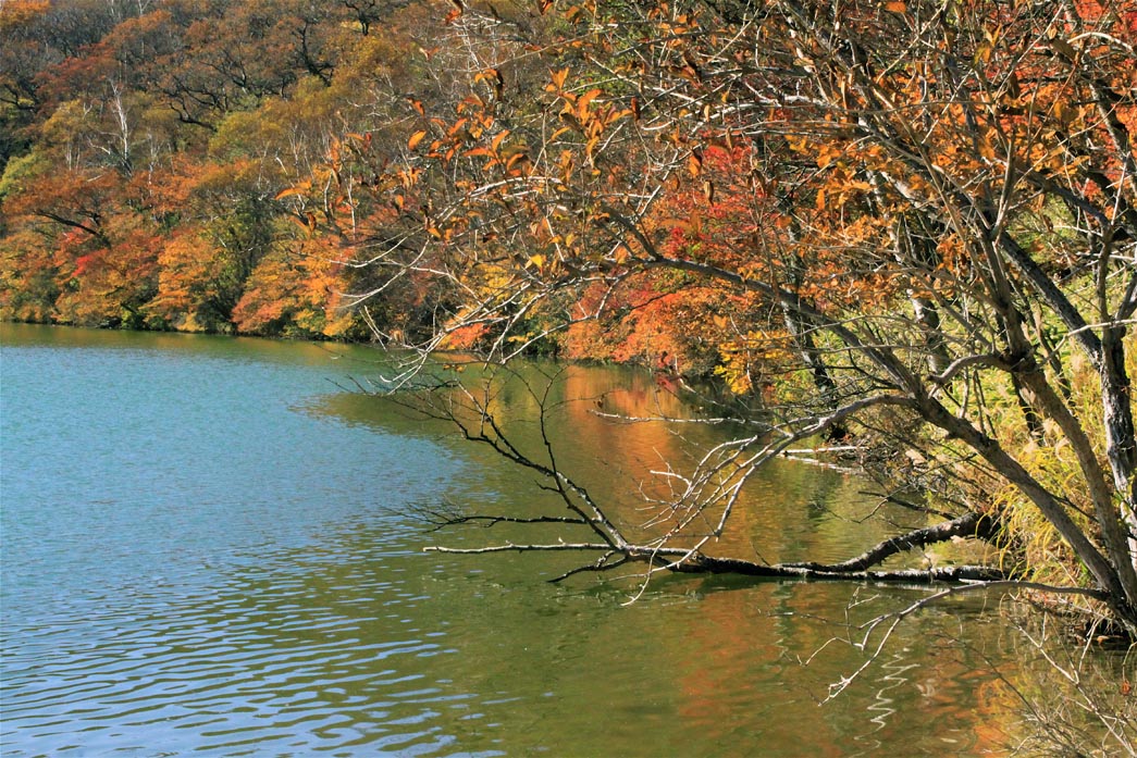 赤城山の秋・・・鳥居峠・小沼_e0071967_21281353.jpg