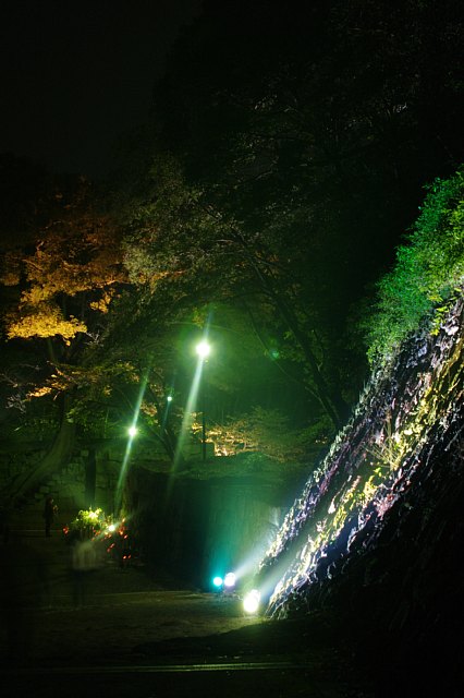 竹燈夜　-和歌山城-_a0056769_131570.jpg