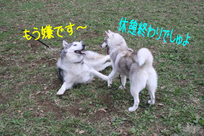 c0161772_2141567.jpg