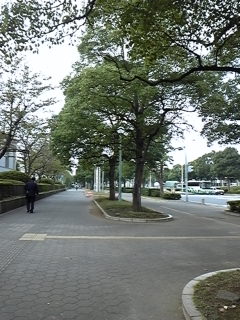 好きな道_e0148673_11281689.jpg