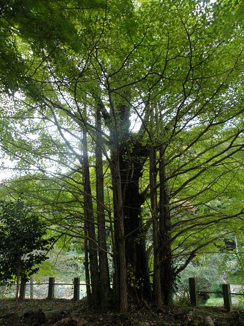 a0095980_18364443.jpg