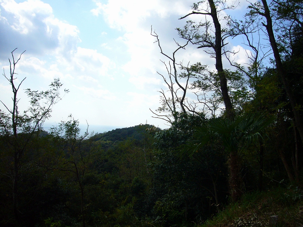 e0024081_14132328.jpg