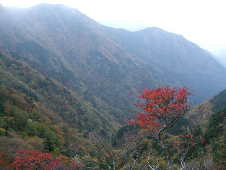 神秘、多彩、険阻、壮大！！霊峰・大峰山トレッキング(後編）_e0138081_13413499.jpg