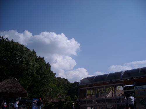 b0136683_9145779.jpg