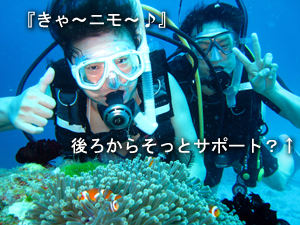 ピッカピカのラチャノイ島2ダイブ!_f0144385_08161.jpg