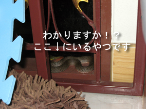 素敵な1週間の始まり_f0144385_13392375.jpg
