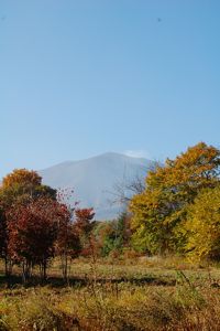 この風景のあとに。_d0028589_22401833.jpg