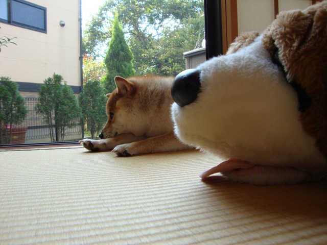 優しさに触れて_a0126590_23333924.jpg