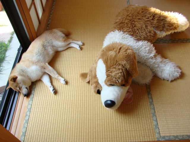 優しさに触れて_a0126590_23341521.jpg