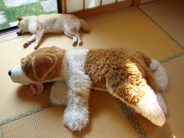 優しさに触れて_a0126590_2334370.jpg
