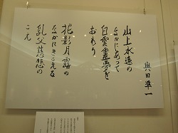 ２００９與田凖一記念館開館（みやま市瀬高町の偉人）・千寿の楽しい歴史_a0137997_10234547.jpg