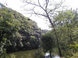 c0035297_15205143.jpg