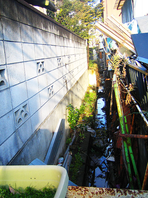 神田川笹塚支流(和泉川)(2)最上流部・北側水路_c0163001_2241562.jpg