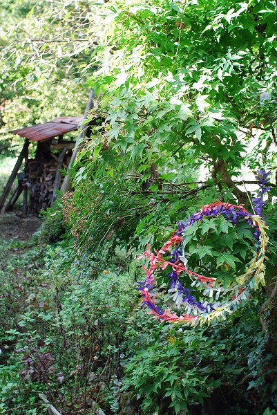 d0089706_071777.jpg