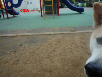 e0131506_22495963.jpg