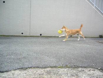 e0131506_2255521.jpg