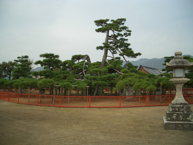琵琶湖の湖畔に居ます_f0141310_234062.jpg