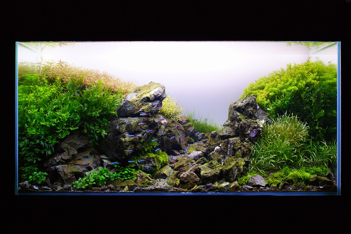２００９年コンテスト出品作品 Zero Aqua