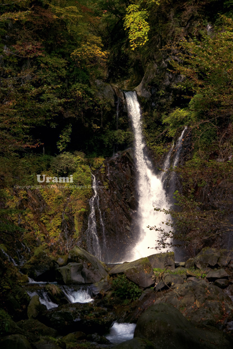 e0146919_04260.jpg