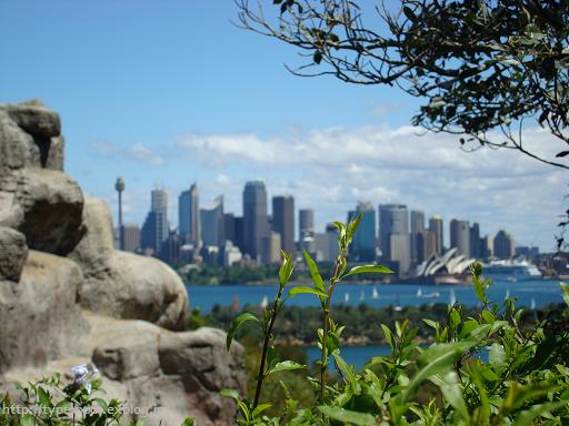 c0076823_21521039.jpg