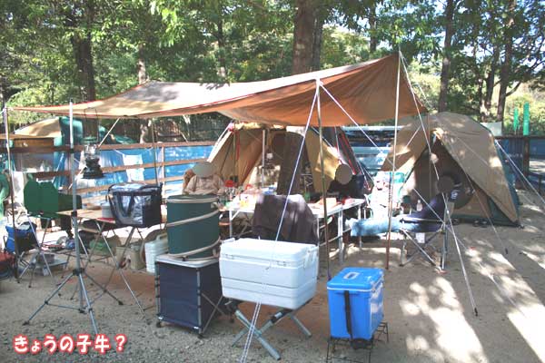 f0203423_1458169.jpg