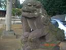 新木戸八幡神社の狛犬（八千代市）_d0065324_14463314.jpg