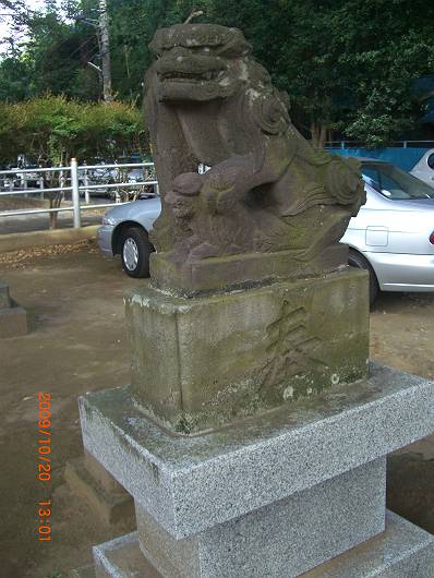 新木戸八幡神社の狛犬（八千代市）_d0065324_14554552.jpg