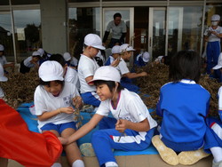 北新庄小学校の子供達が大豆の鞘取りをしました_e0061225_16482664.jpg