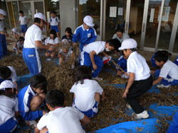 北新庄小学校の子供達が大豆の鞘取りをしました_e0061225_1712487.jpg