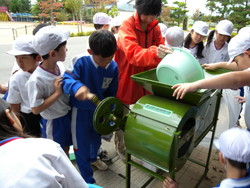 北新庄小学校の子供達が大豆の鞘取りをしました_e0061225_1761387.jpg