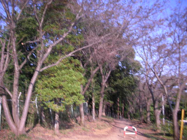 秋を探して_c0155326_22451141.jpg