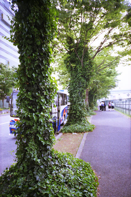 江東区青海一丁目一番地 いった 見た 撮った 撮った撮った