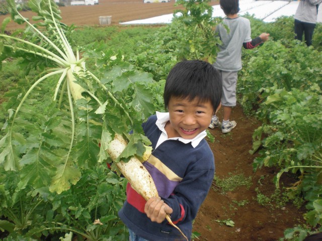 花と野菜のまつり_c0127132_15244292.jpg