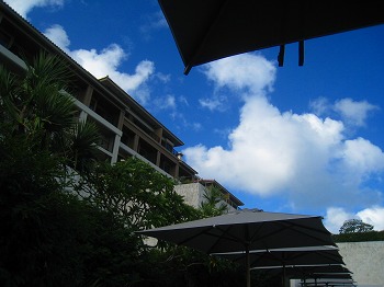a0055835_0191458.jpg
