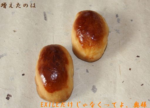 c0178336_13204429.jpg