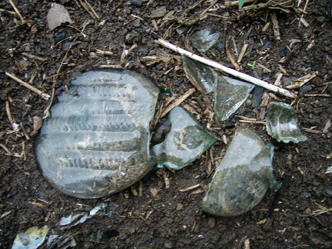 d0110641_206567.jpg