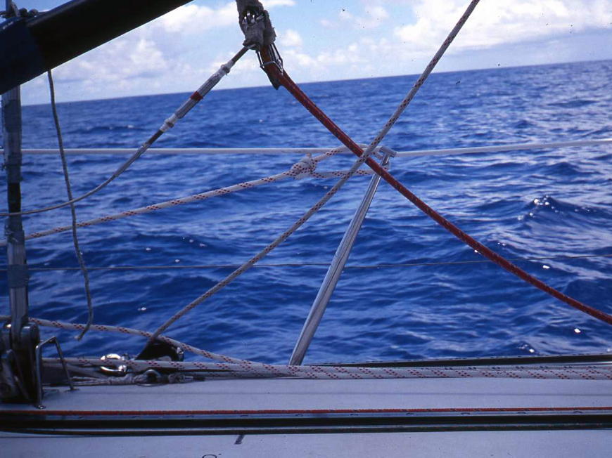 e0114543_1653225.jpg
