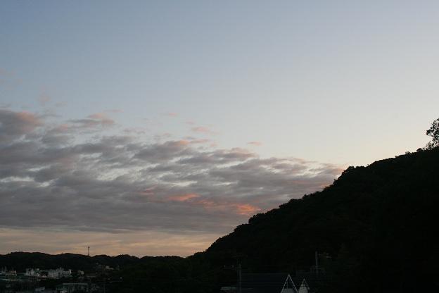 c0004744_4383410.jpg