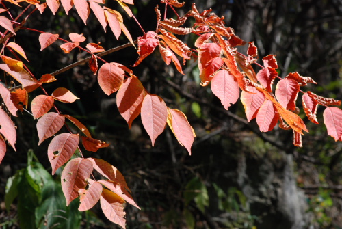 b0067346_5321512.jpg