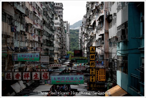 香港、騒がしい街編_a0091958_11223180.jpg