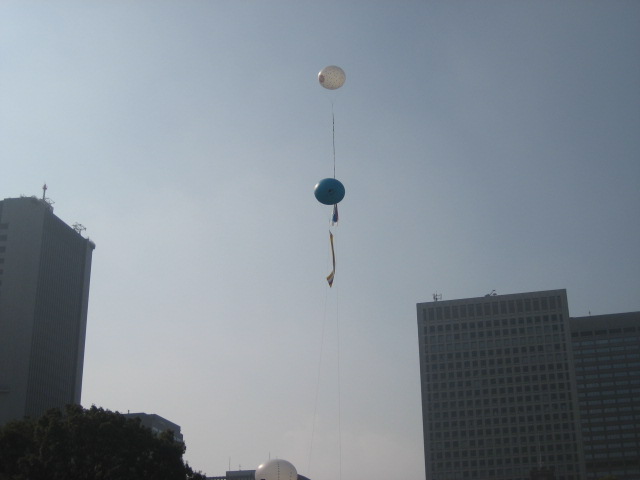 c0196062_98485.jpg